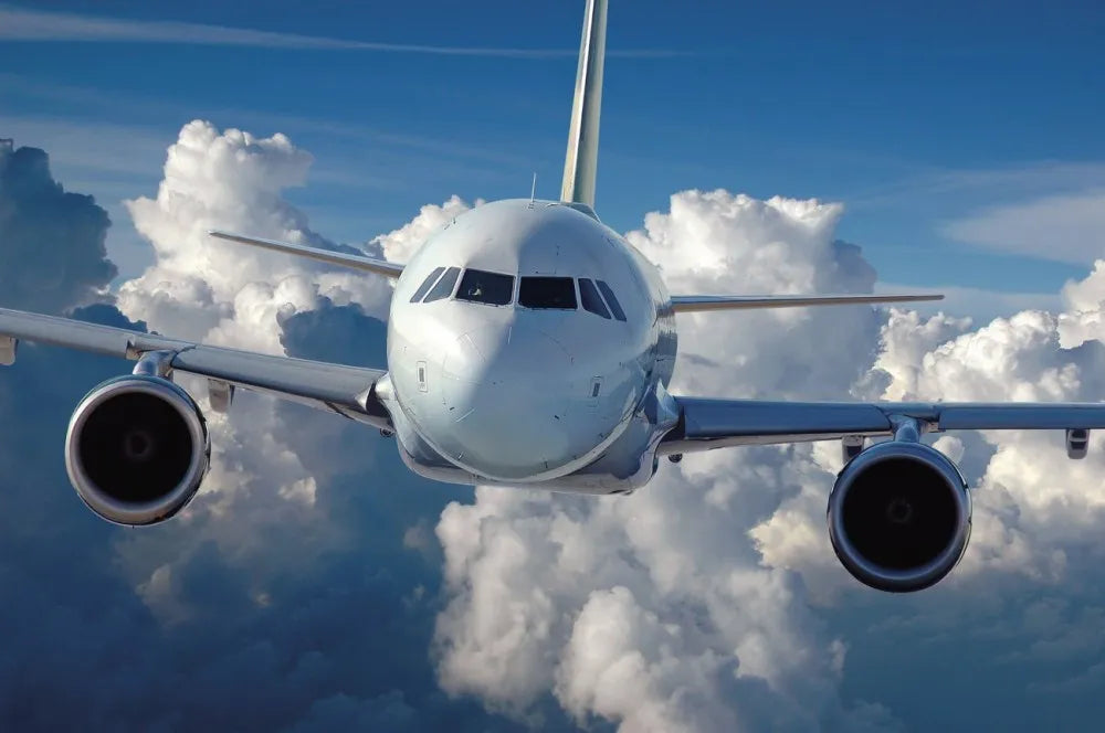 The plane