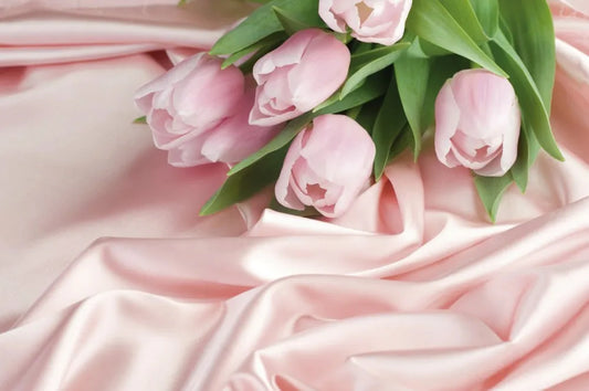 Pink tulips