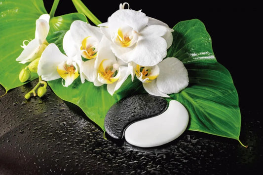 Orchid