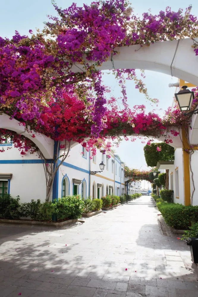 Street in the Canaries