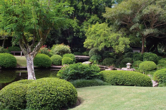 Park