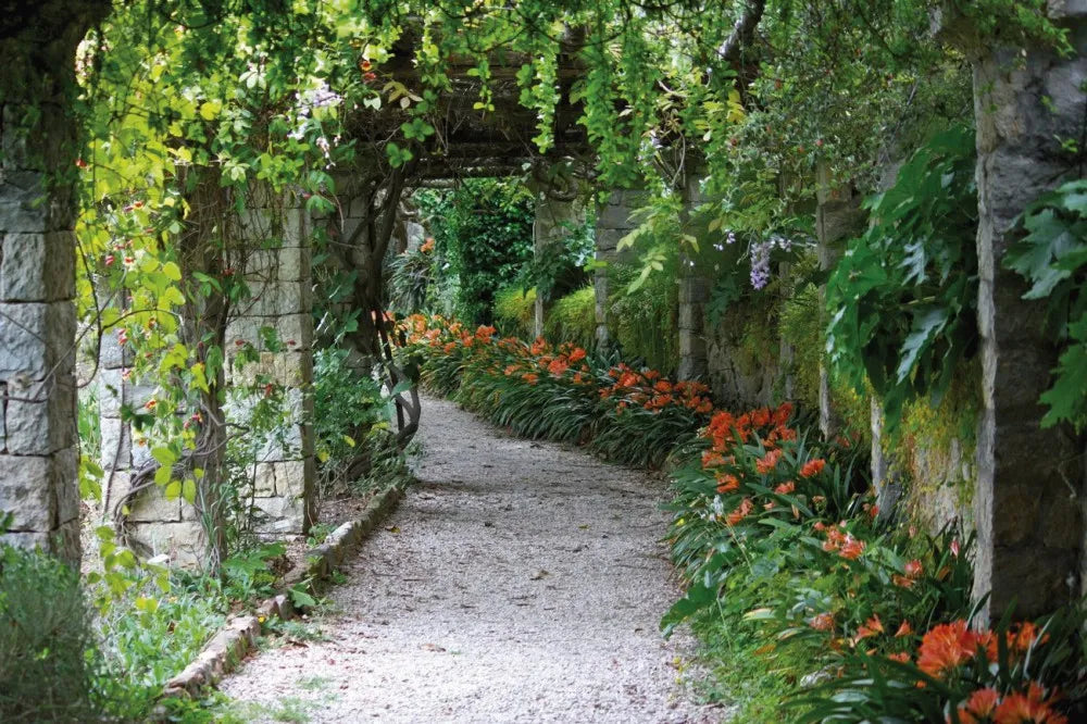 Alley