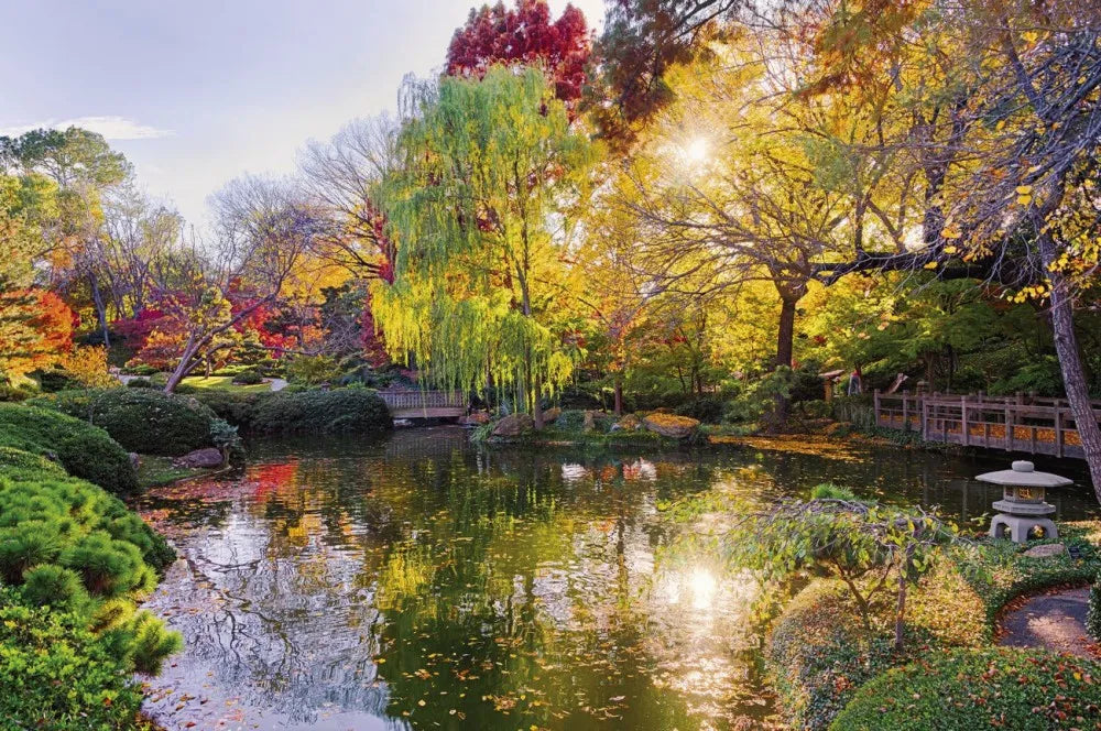 Autumn Park