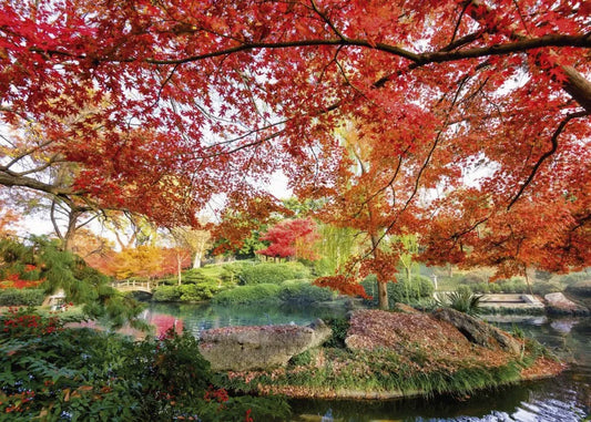 Park