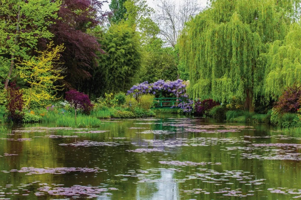 The lake in the Park