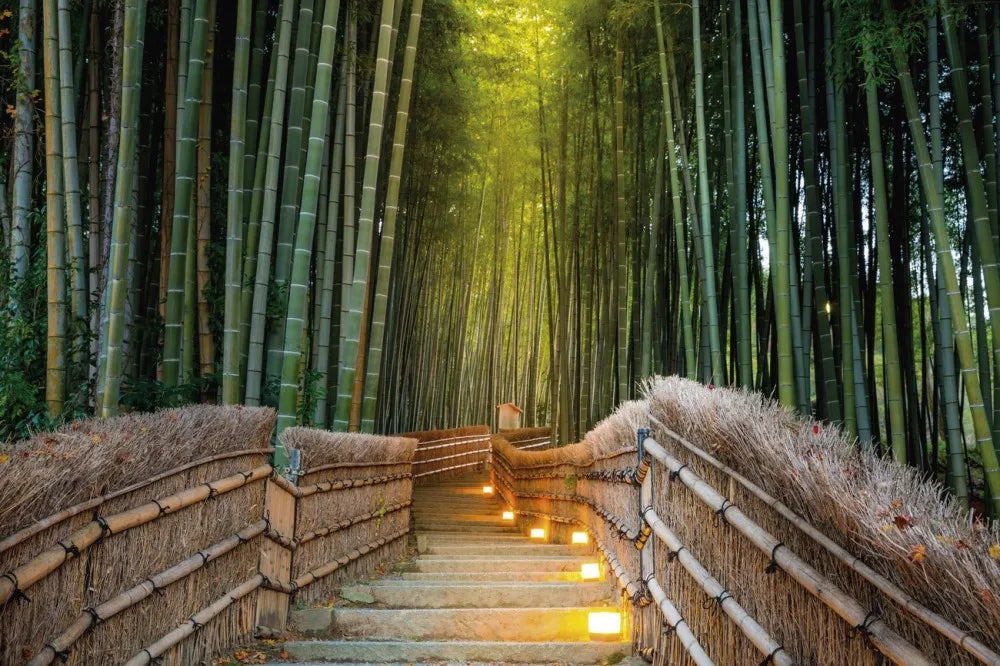 Alley in the bamboo forest