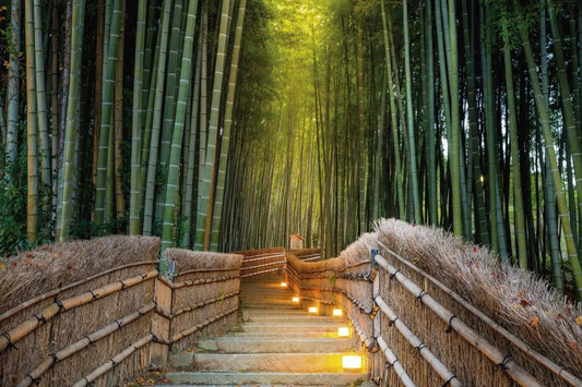 Alley in the bamboo forest