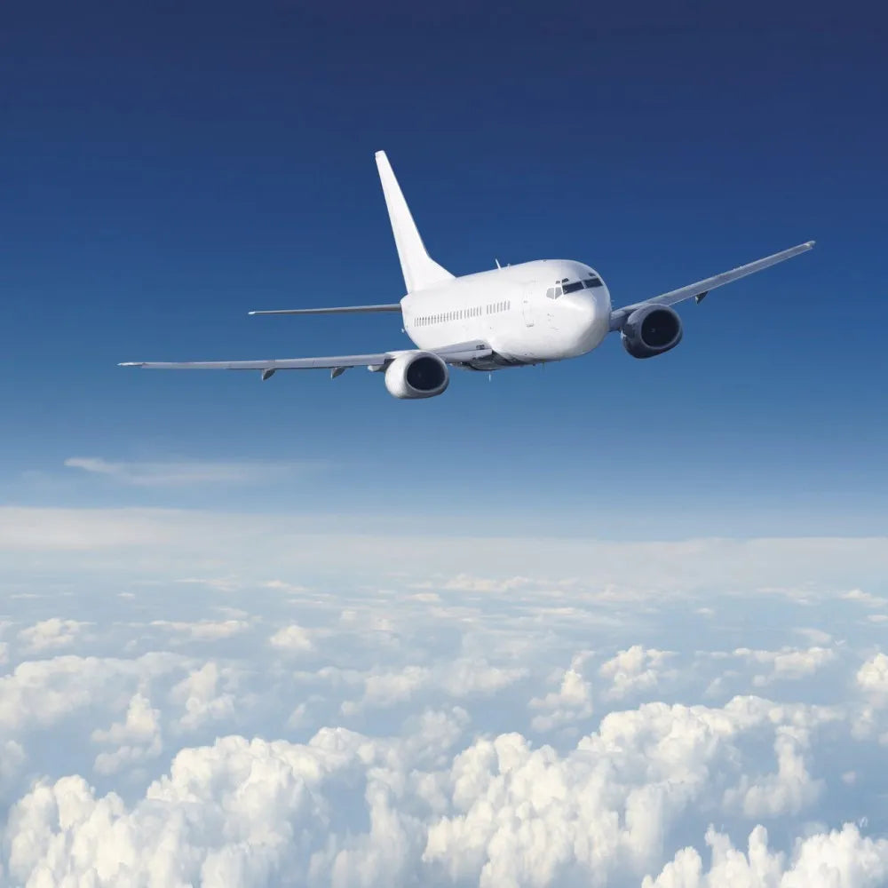 The plane