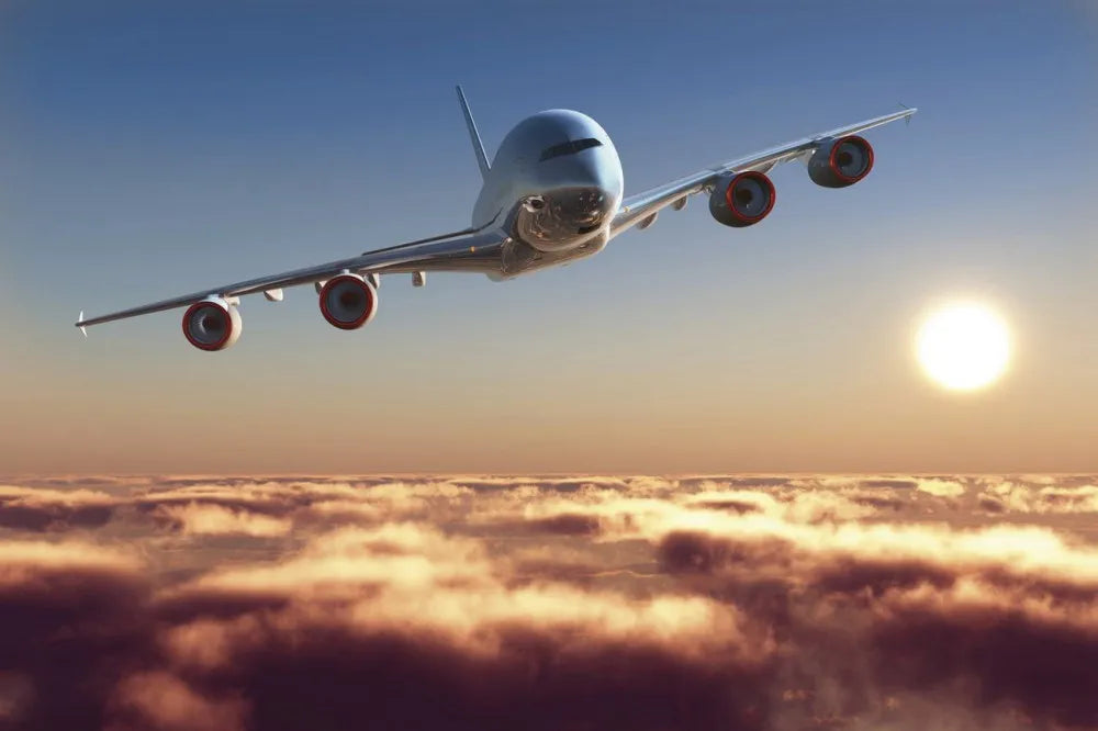 The plane