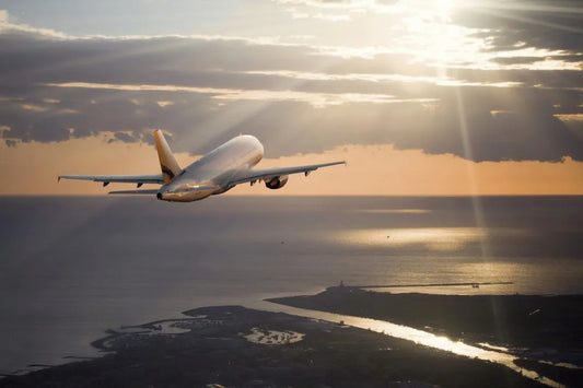 The plane
