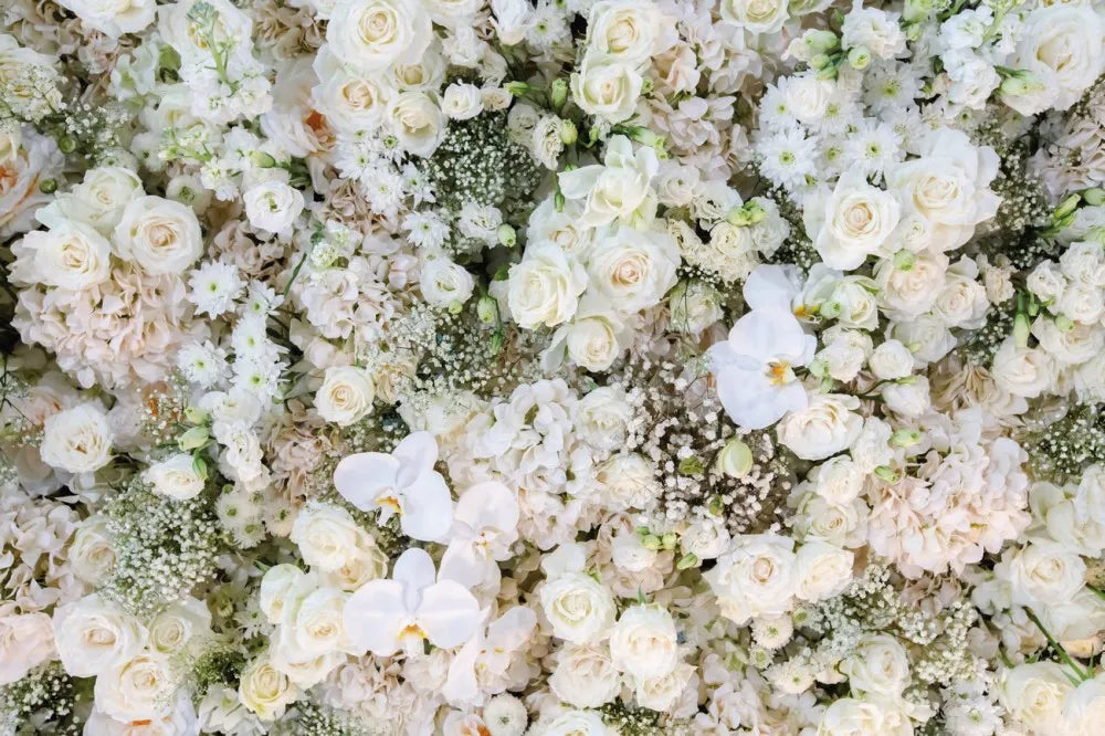 Roses