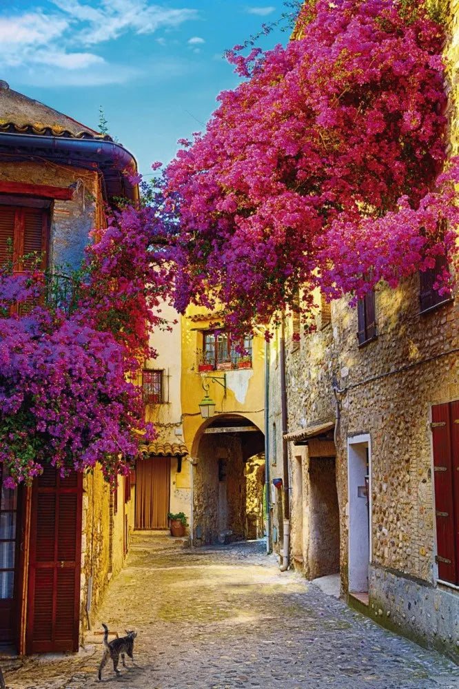 Street in the Provence, France
