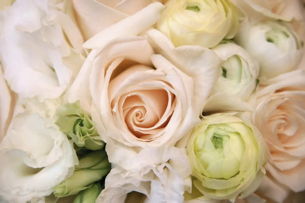 Bunch of Roses