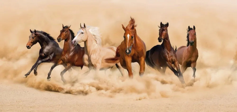 The herd