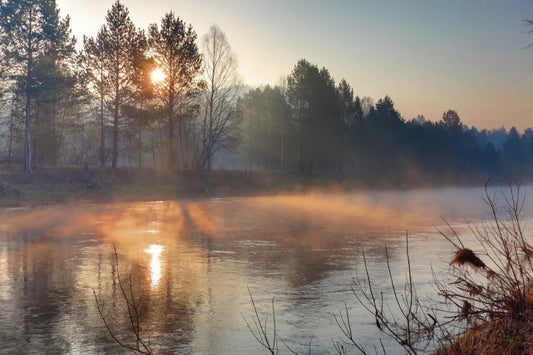 Fog over the river