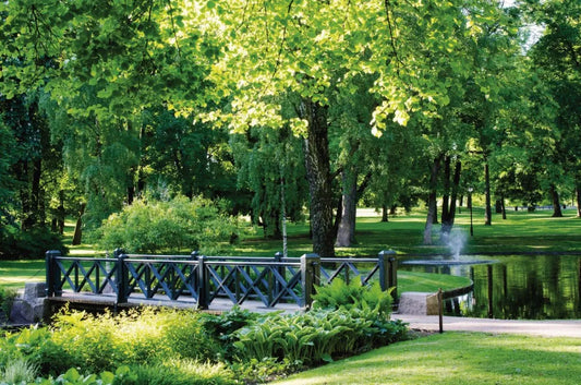 The bridge in the Park