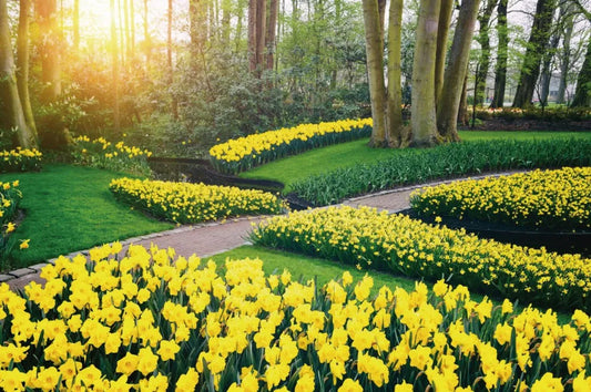 Botanical garden