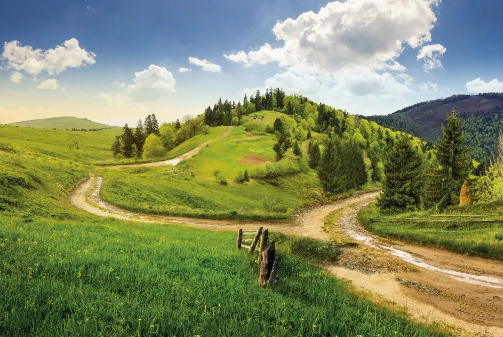 Road in the valley