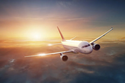 The plane