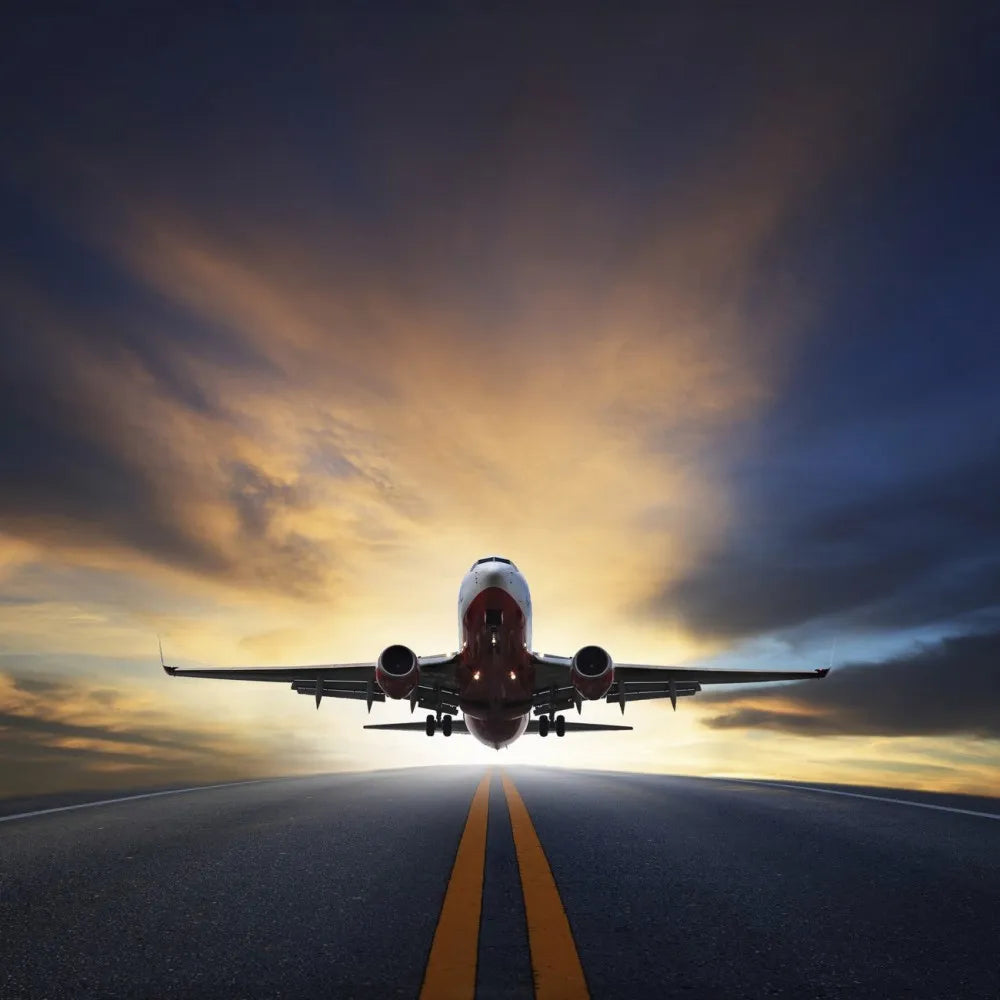 The plane