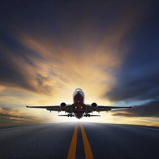 The plane