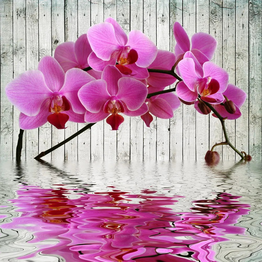 Orchid