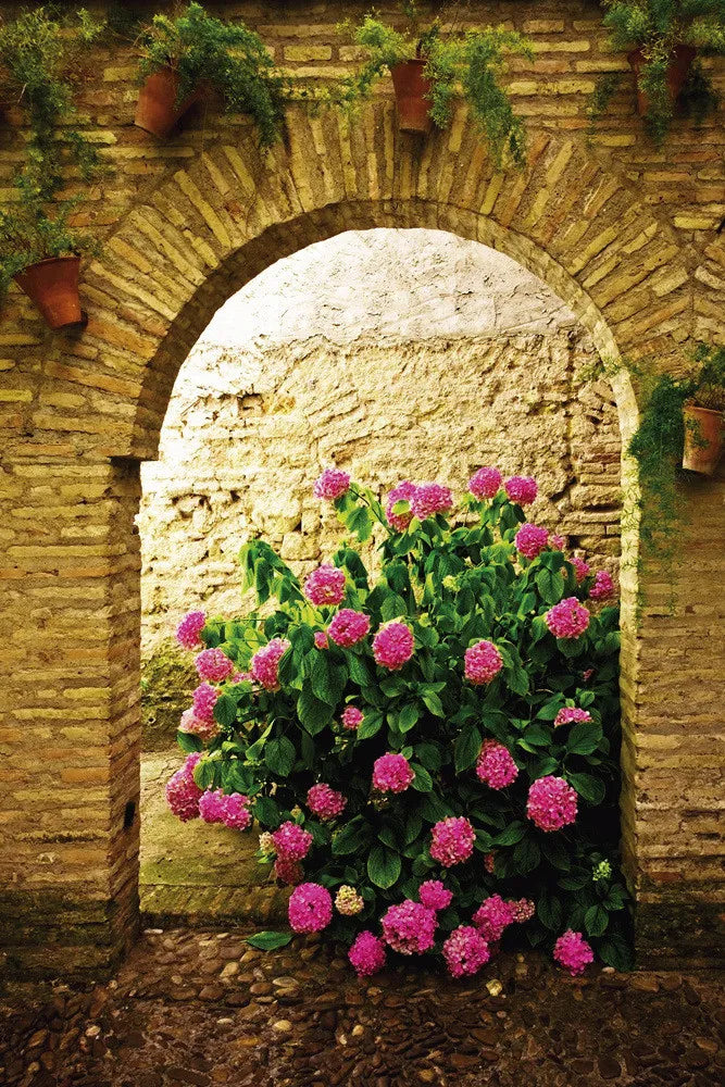Arch