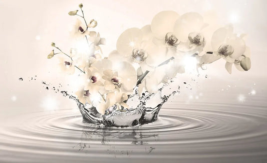 Orchids