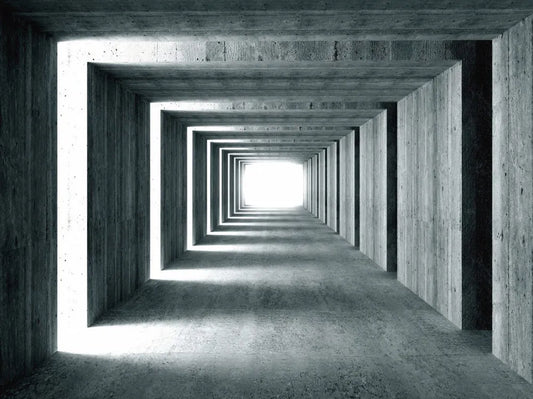 The tunnel