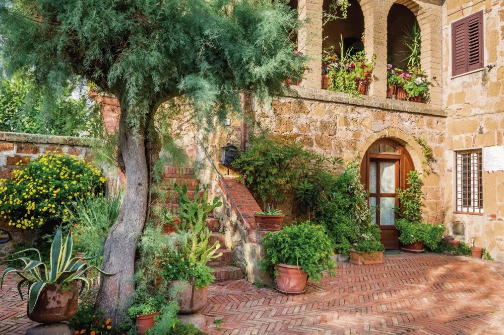 Yard in Italy