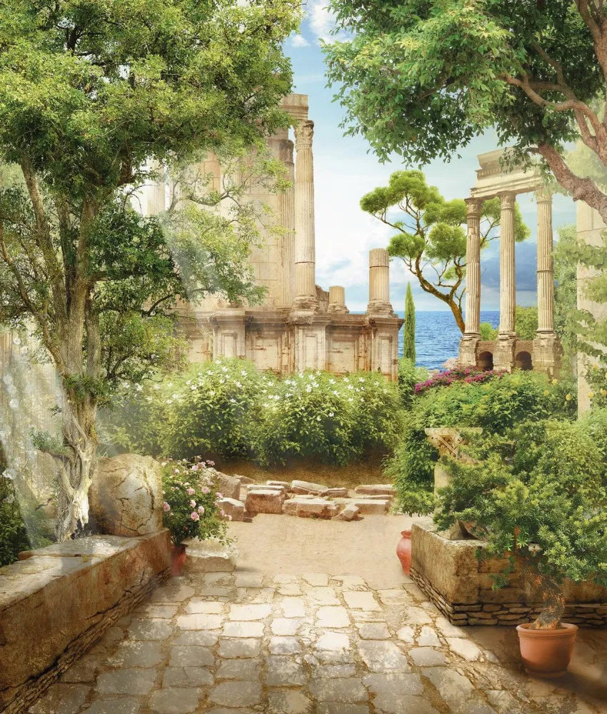 The patio in the garden