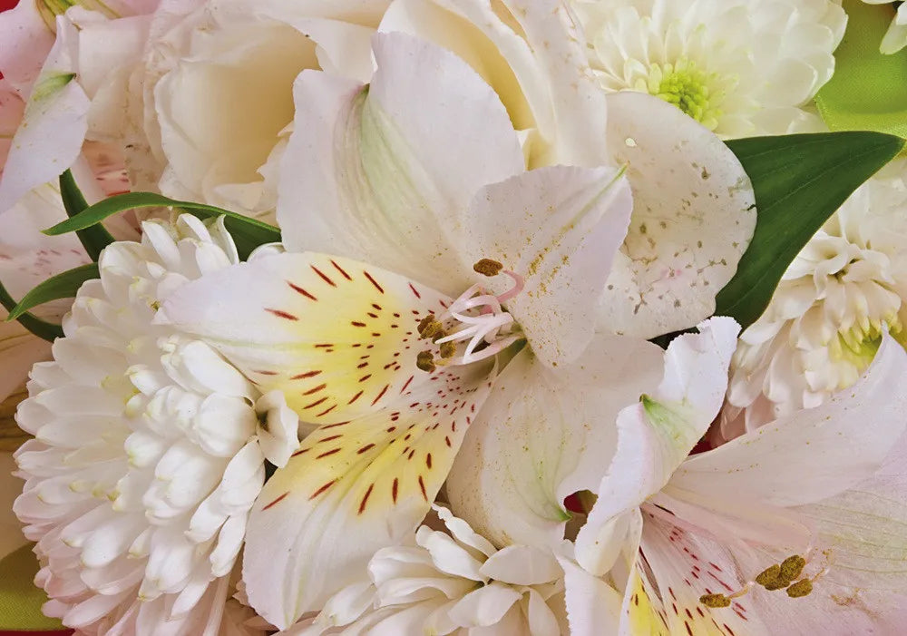 White flowers