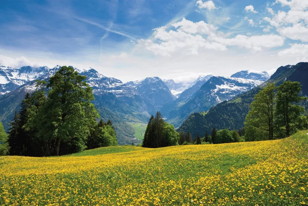 Mountains