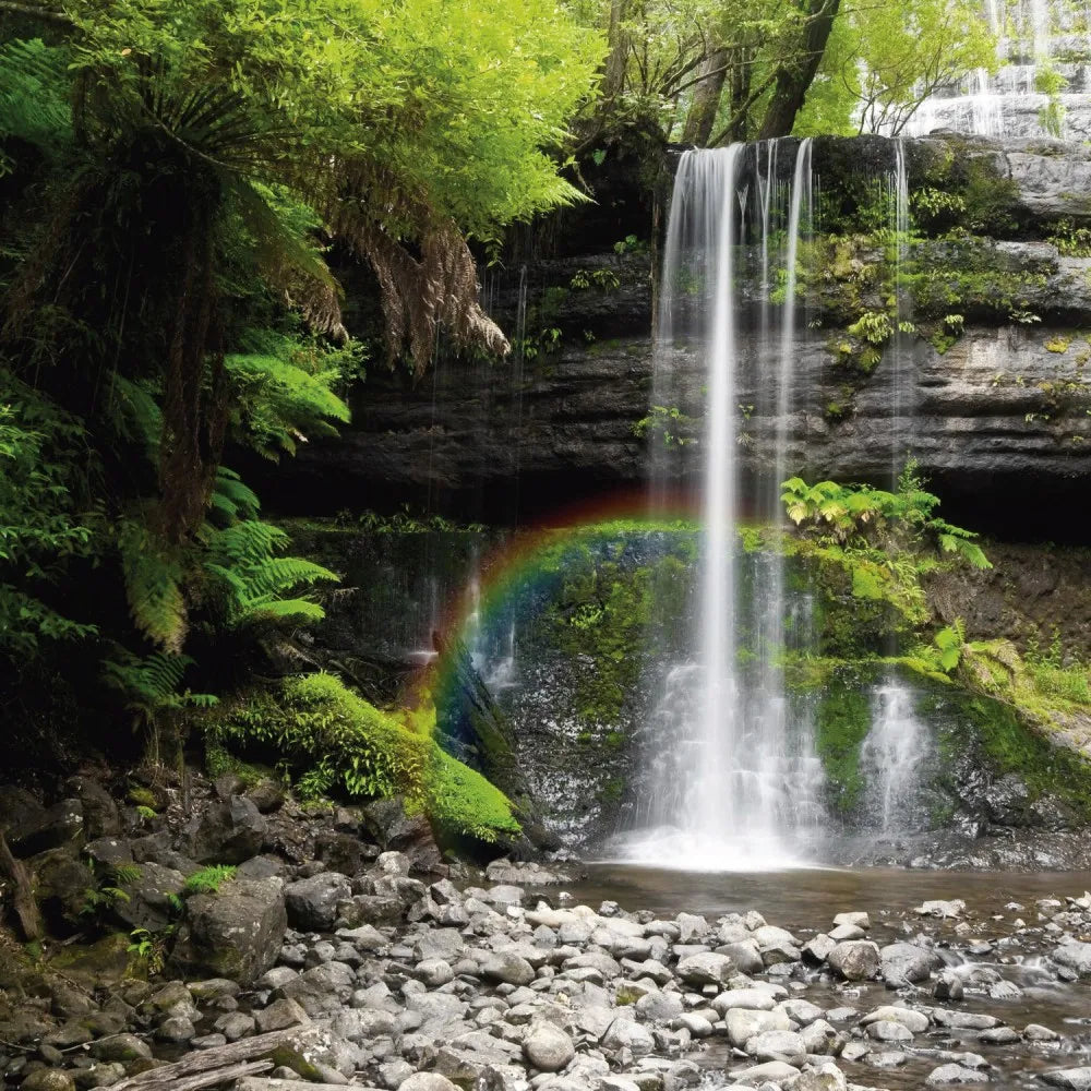 Waterfall in the forest