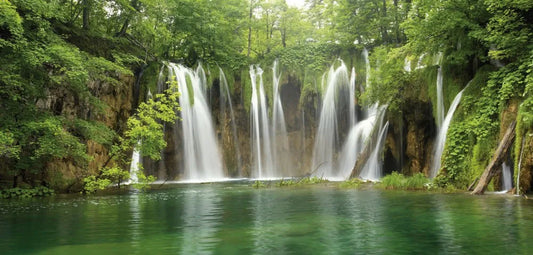 Waterfall in the forest