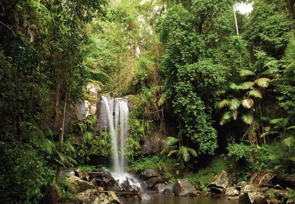 Waterfall in the forest
