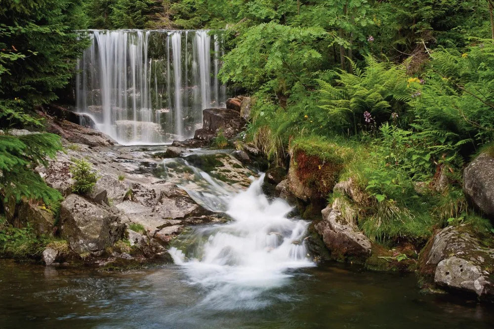 Waterfall in the forest