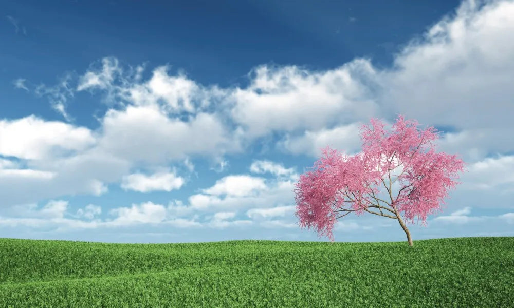 Tree in a field