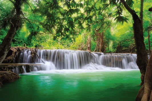 Waterfall in the forest