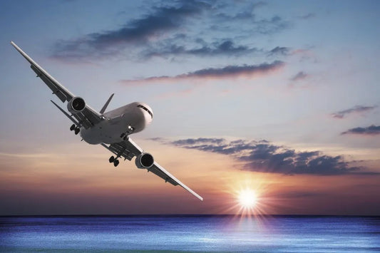 The plane