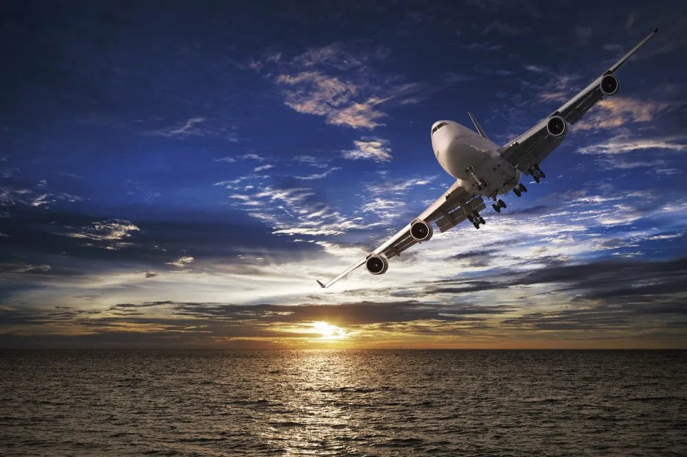 The plane