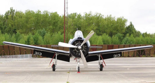 Light aircraft