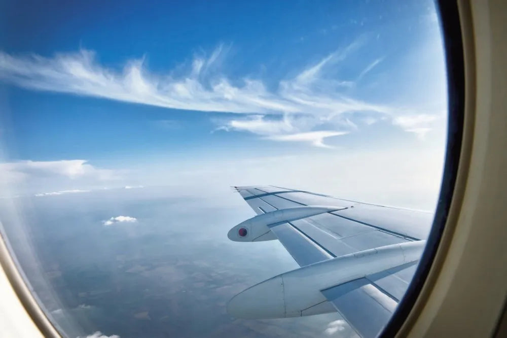 The airplane