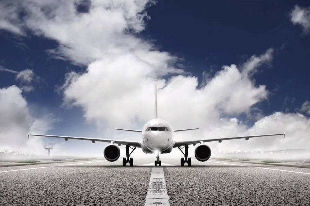 The plane
