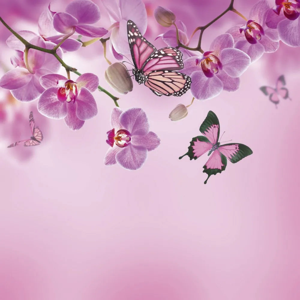 Orchid and butterflies