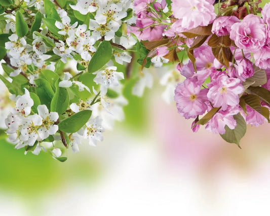 Flowering