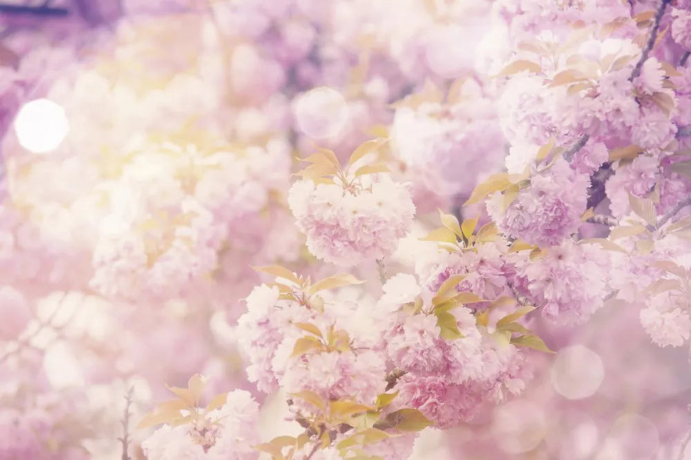 Flowering