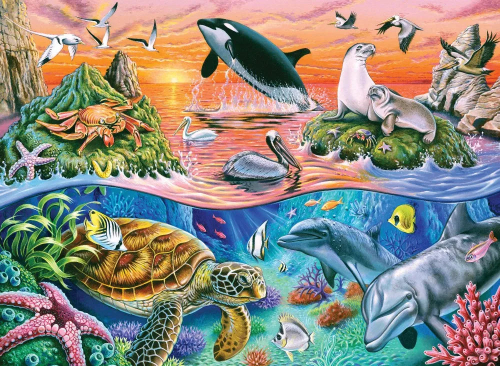 Picture of the underwater world