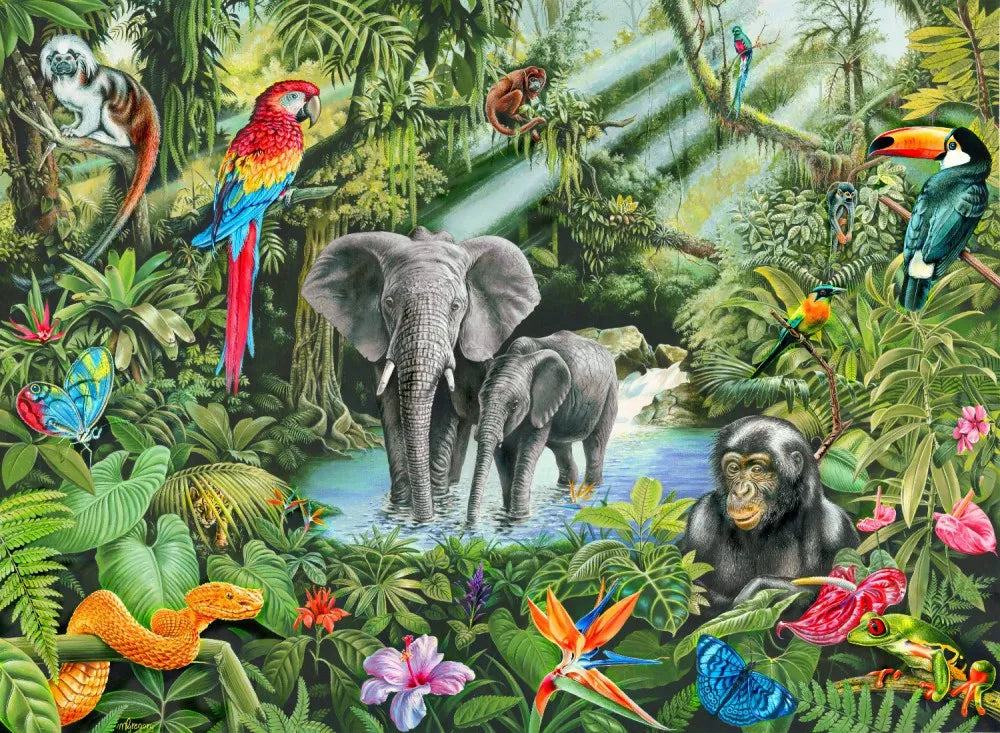 Tropical animals