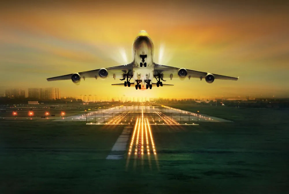 The plane